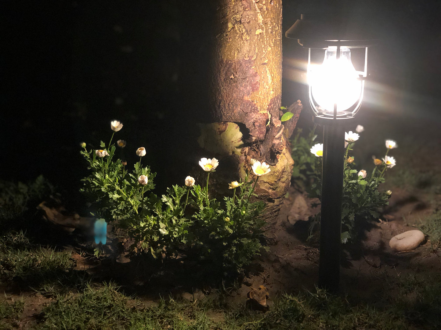 Solar LED Lamp